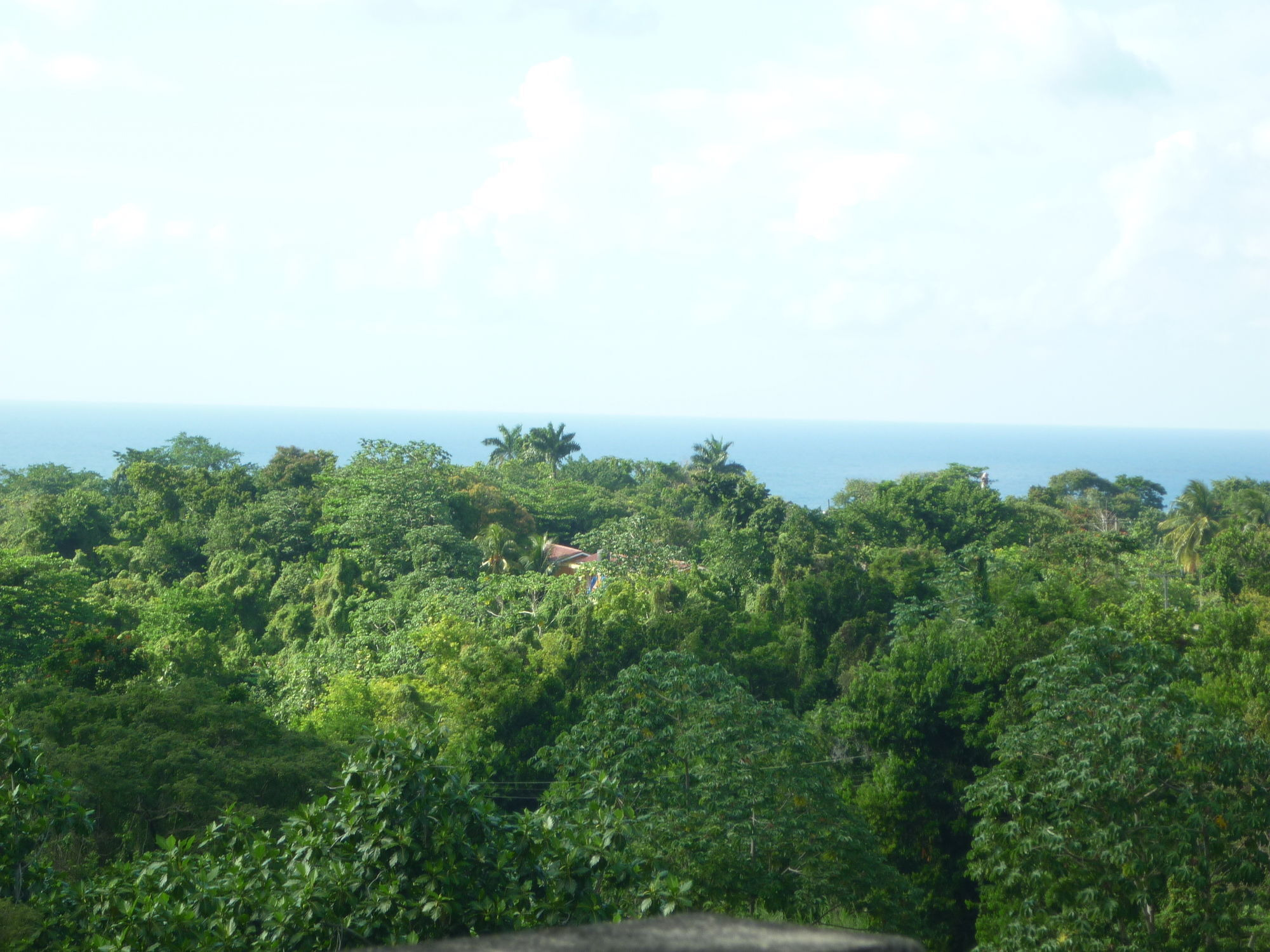 East Bay Villas Port Antonio Exterior photo